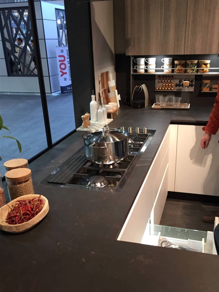 Foster à Sadecc 2017